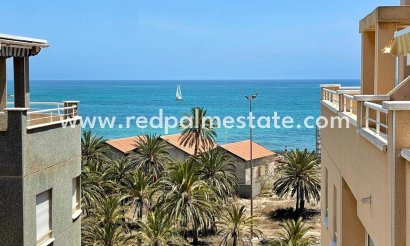 Apartment - Resale - Torrevieja - Torrevieja