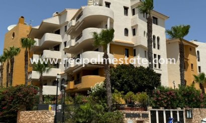 Apartment - Resale - Torrevieja - Torrevieja