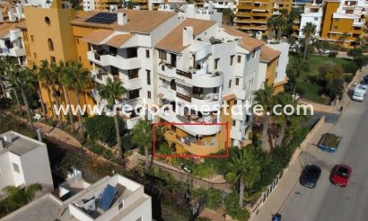 Apartment - Resale - Torrevieja - Torrevieja