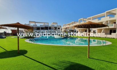 Apartment - Resale - Torrevieja - Torrevieja