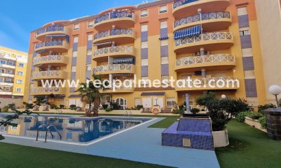 Apartment - Resale - Torrevieja -
                Torrevieja