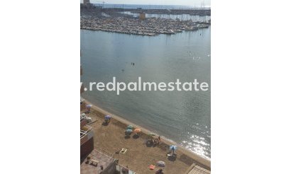 Apartment - Resale - Torrevieja - Torrevieja