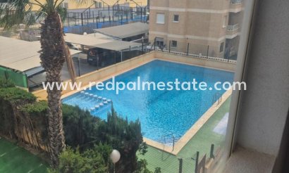Apartment - Resale - Torrevieja - Torrevieja