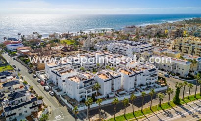 Apartment - Resale - Torrevieja - Torrevieja