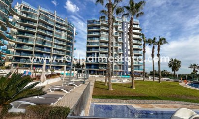 Apartment - Resale - Torrevieja - Torrevieja