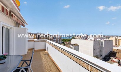 Apartment - Resale - Torrevieja - Torrevieja