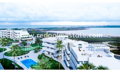 Apartmentos - Obra nueva - Guardamar del Segura - El Raso
