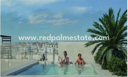 Apartmentos - Obra nueva - Torrevieja - Centro Torrevieja