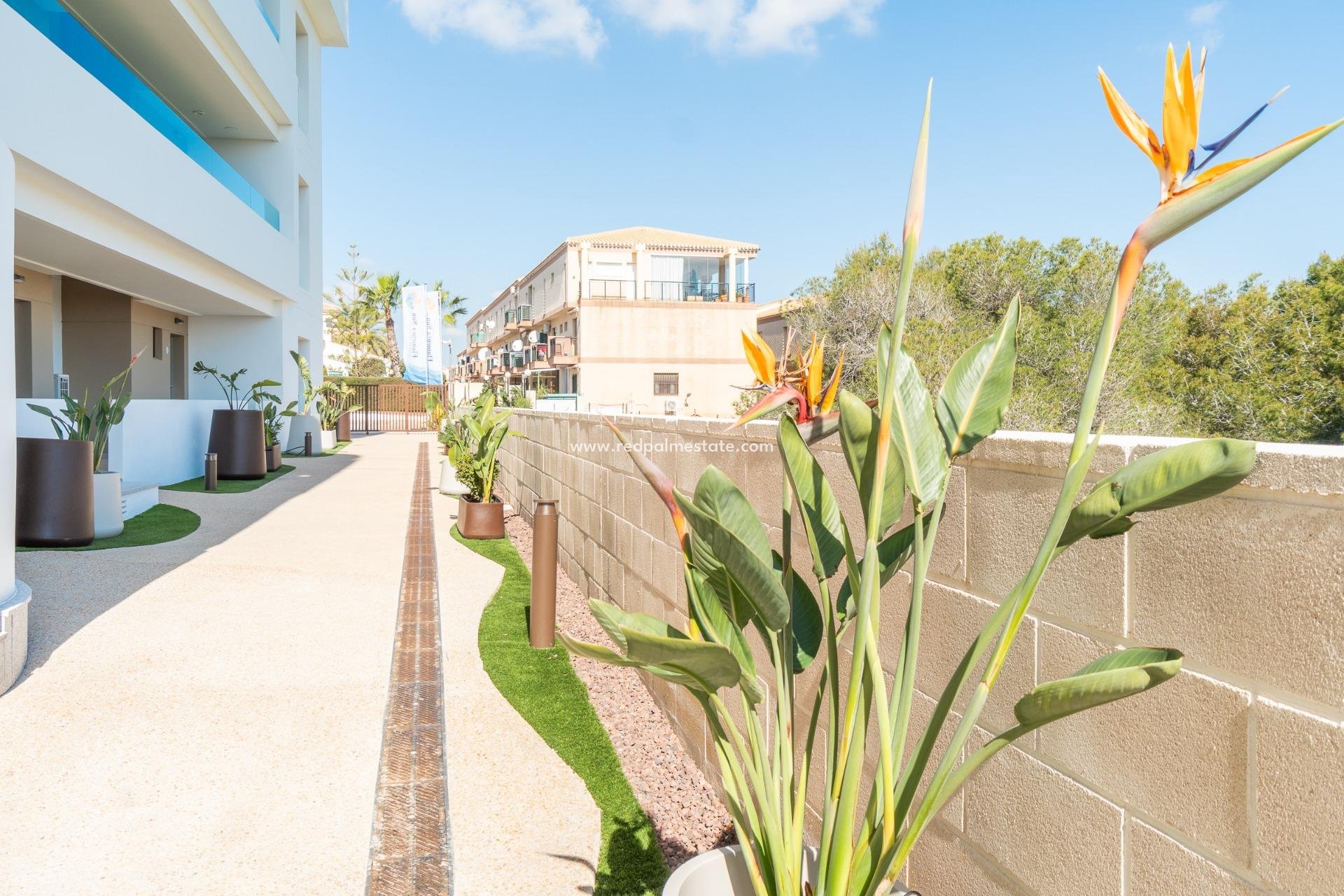  - Apartmentos -
Orihuela Costa - Playa Flamenca