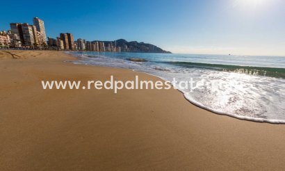 Apartmentos - Reventa - Benidorm - Benidorm
