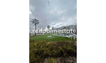 Apartmentos - Reventa - Finestrat - Finestrat