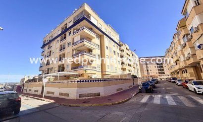 Apartmentos - Reventa -
            Guardamar del Segura - MR2-78997