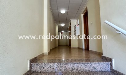 Apartmentos - Reventa - Jacarilla - Inland