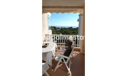 Apartmentos - Reventa -
            Orihuela Costa - MR2-31171