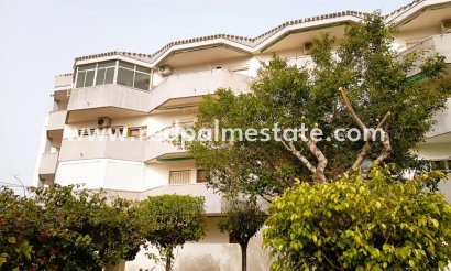 Apartmentos - Reventa - Orihuela Costa - Orihuela Costa