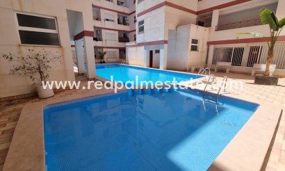 Apartmentos - Reventa - Torrevieja - Centro Torrevieja