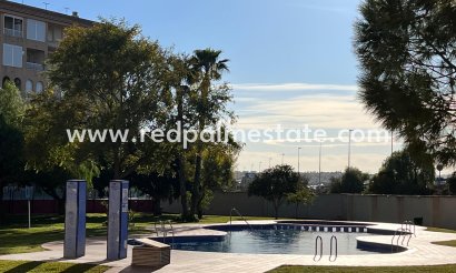 Apartmentos - Reventa - Torrevieja - Centro Torrevieja