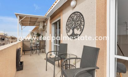 Apartmentos - Reventa - Torrevieja - Centro Torrevieja