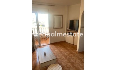 Apartmentos - Reventa - Torrevieja - Centro Torrevieja