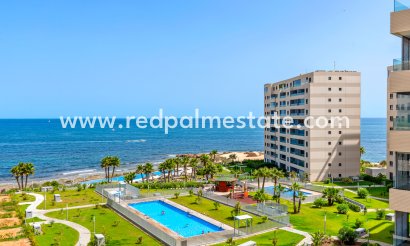 Apartmentos - Reventa - Torrevieja - Costa Blanca