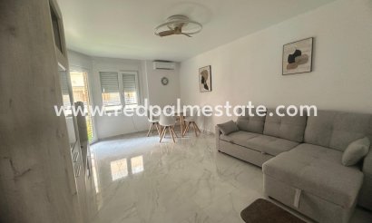 Apartmentos - Reventa - Torrevieja - Estacion de autobuses