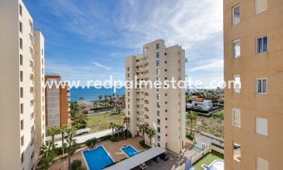 Apartmentos - Reventa - Torrevieja - La Veleta