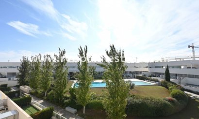 Apartmentos - Reventa - Torrevieja - Los balcones