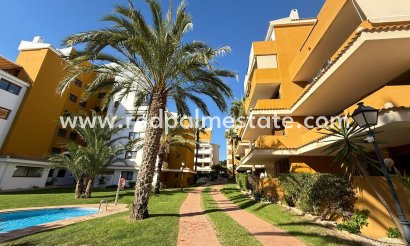 Apartmentos - Reventa - Torrevieja - Punta prima