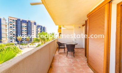 Apartmentos - Reventa - Torrevieja - Punta prima