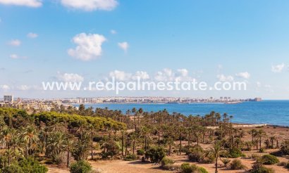 Apartmentos - Reventa - Torrevieja - Punta prima