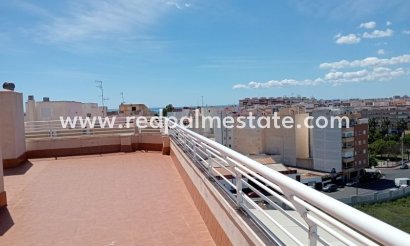 Apartmentos - Reventa - Torrevieja - Torrevieja