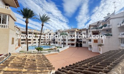 Apartmentos - Reventa - Torrevieja - Torrevieja