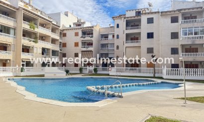 Apartmentos - Reventa - Torrevieja - Torrevieja