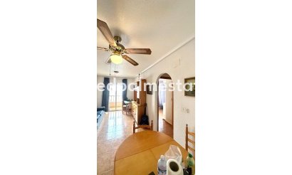 Apartmentos - Reventa - Torrevieja - Torrevieja