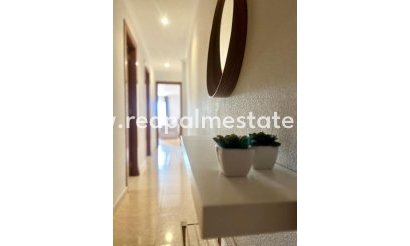 Apartmentos - Reventa - Torrevieja - Torrevieja