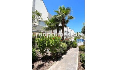 Apartmentos - Reventa - Torrevieja - Torrevieja