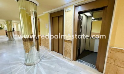 Apartmentos - Reventa - Torrevieja - Torrevieja