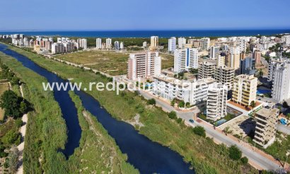 Apartments - New Build - Guardamar del Segura - Avenida del Puerto