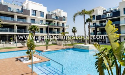 Apartments - New Build - Guardamar del Segura -
                Guardamar
