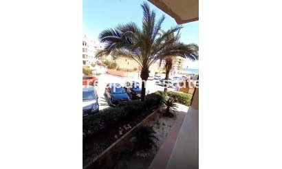 Apartments - Resale - Guardamar del Segura - Guardamar