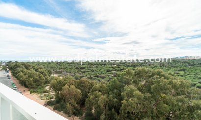 Apartments - Resale - Guardamar del Segura - Puerto Deportivo