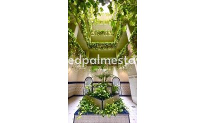 Apartments - Resale - Torrevieja - Centro Torrevieja