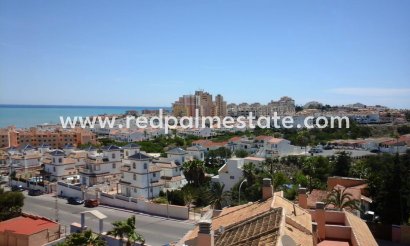 Apartments - Resale -
            Torrevieja - MR2-83346