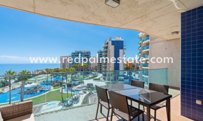 Apartments - Resale - Torrevieja - Punta prima