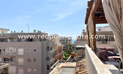 Apartments - Resale - Torrevieja - Torrevieja