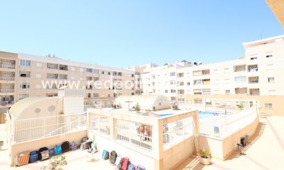 Apartments - Resale - Torrevieja - Torrevieja