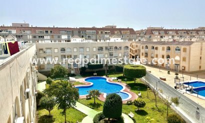 Apartments - Resale - Torrevieja - Torrevieja
