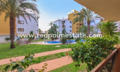 Apartments - Short Term Rental - Torrevieja -
                La Entrada