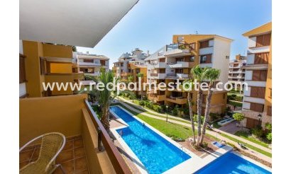 Apartments - Short Term Rental - Torrevieja -
                La Recoleta