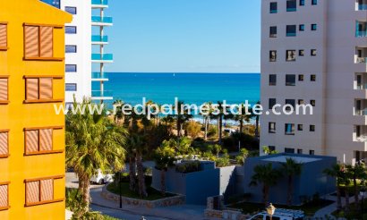 Apartments - Short Term Rental - Torrevieja -
                La Recoleta